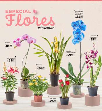 thumbnail - Flores e plantas